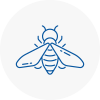 Bee Nest Removal Abbots Langley
