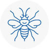 Abbots Langley Hornet Nest Removals