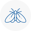 Moth Control Specialists In Abbots Langley