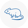 Rat Control Abbots Langley