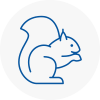 Abbots Langley Rodent Removals